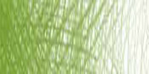 Карандаш профессиональный цветной Artist "Derwent", цвет - 4200 зеленый можжевеловый