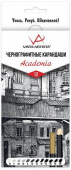 Набор чернографитных карандашей "VISTA-ARTISTA" "Academia" заточенный 12 шт. ассорти 2H-10B VAGPS-12