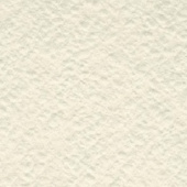 Бумага рисовальная 280гр. А-2 кость слоновая