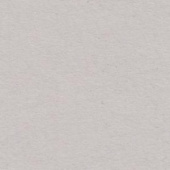 Картон для паспарту (82 х 112 х 0,17 см.) "Royal Moorman"