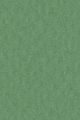 Бумага для пастели Tiziano А4 160г. Ярко-зеленый