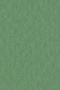 Бумага для пастели Tiziano А4 160г. Ярко-зеленый