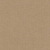 Картон для паспарту (82 х 112 х 0,17 см.) "Royal Moorman"