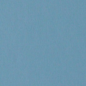 Картон для паспарту (82 х 112 х 0,17 см.) "Royal Moorman"