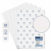 Бумага для акварели, (1 лист, упак 10л.) А3, Гамма "Студия", 300г/м2, крупное зерно, 100% хлопок