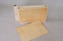 Переноска "Пенальная для работ на холстах  на картоне 25х35