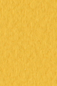 Бумага для пастели Tiziano А4 160г. Золото