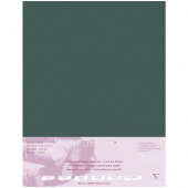 Бумага для пастели Clairefontaine "Pastelmat" 50x70 см, 360 г, бархат, темно-зеленый