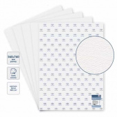 Бумага для акварели, (1 лист, упак 10л.) 560*760мм, "Студия", 300г/м2, крупное зерно, 100% хлопок