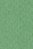 Бумага для пастели Tiziano 50х65см 160г. Зеленый