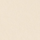 Картон для паспарту (82 х 112 х 0,17 см.) "Royal Moorman"