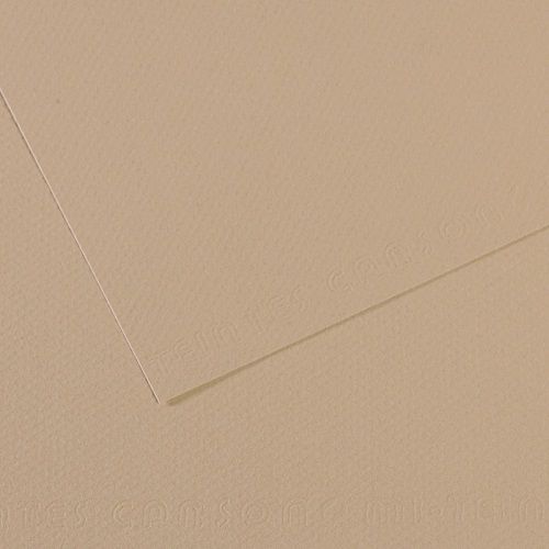 Бумага для пастели CANSON "Mi-Teintes" 50x65 см, 160 г, №343 Серо-бежевый Бумага для пастели CANSON "Mi-Teintes" 50x65 см, 160 г, №343 Серо-бежевый