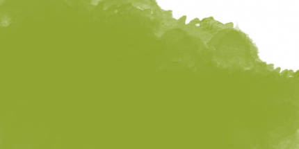Пастель масляная мягкая круглая 10х70мм профессиональная Mungyo № 305 Зеленый шартрез