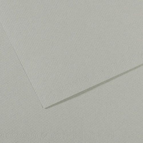 Бумага для пастели CANSON "Mi-Teintes" 50x65 см, 160 г, №354 Серое небо Бумага для пастели CANSON "Mi-Teintes" 50x65 см, 160 г, №354 Серое небо