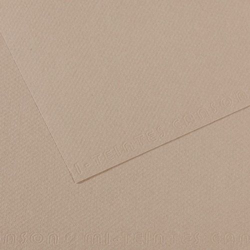 Бумага для пастели CANSON "Mi-Teintes" 50x65 см, 160 г, №122 Серая фланель 