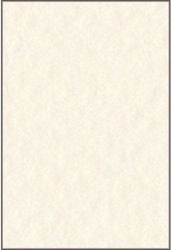 Бумага для пастели Tiziano 50х65см 160г. Бледно-кремовый