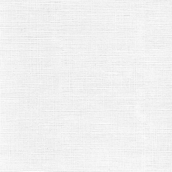 Бумага тисненная "Холст" 200гр 620х940мм (Гознак) (1л.) (Уп. 400л.)