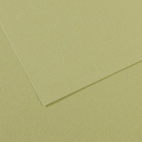 Бумага для пастели CANSON "Mi-Teintes" 21x29,7 см, 160 г, №480 Зеленый светлый 