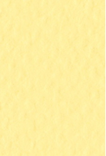 Бумага для пастели Tiziano А4 160г. Лимонный