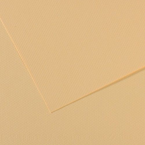 Бумага для пастели CANSON "Mi-Teintes" 21x29,7 см, 160 г, №407 Кремовый Бумага для пастели CANSON "Mi-Teintes" 21x29,7 см, 160 г, №407 Кремовый
