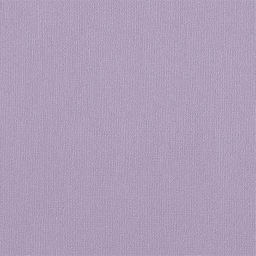 Бумага для пастели "Палаццо" тисн."Холст" 21х29,7см "Lavanda" (темно-розовый) хл.40% 160г Бумага для пастели "Палаццо" тисн."Холст" 21х29,7см "Lavanda" (темно-розовый) хл.40% 160г