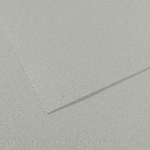 Бумага для пастели CANSON "Mi-Teintes" 50x65 см, 160 г, №354 Серое небо 