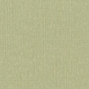 Картон для паспарту (76,2 х 106,7 см.) бледно-салатовый