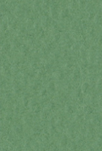Бумага для пастели Tiziano 50х65см 160г. Зеленый темный