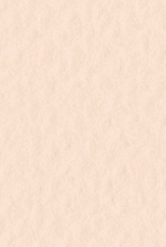 Бумага для пастели Tiziano А4 160г. Розовая