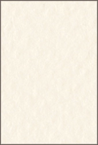 Бумага для пастели Tiziano А4 160г. Бледно-кремовый