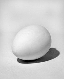 Гипсовая фигура яйцо, 14х20см