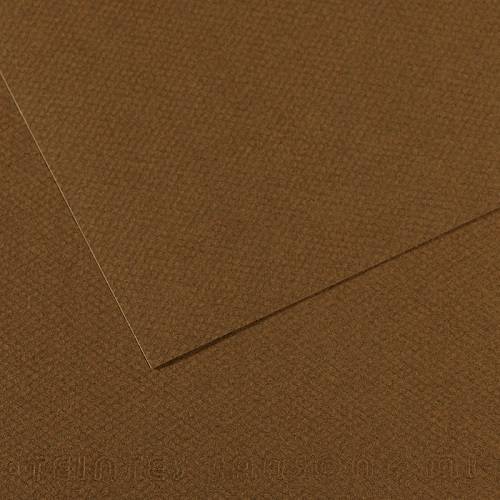 Бумага для пастели CANSON "Mi-Teintes" 21x29,7 см, 160 г, №501 Коричневый табак Бумага для пастели CANSON "Mi-Teintes" 21x29,7 см, 160 г, №501 Коричневый табак