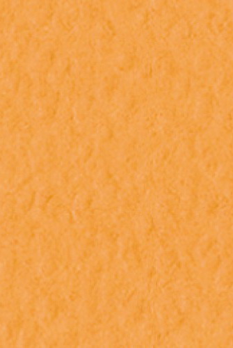 Бумага для пастели 70х100см Tiziano 160г. Оранжевый