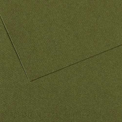 Бумага для пастели CANSON "Mi-Teintes" 50x65 см, 160 г, №448 Зеленый плющ Бумага для пастели CANSON "Mi-Teintes" 50x65 см, 160 г, №448 Зеленый плющ