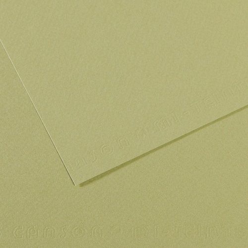 Бумага для пастели CANSON "Mi-Teintes" 50x65 см, 160 г, №480 Зеленый светлый 