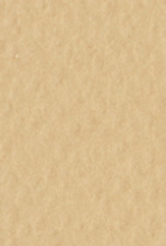 Бумага для пастели Tiziano 50х65см 160г. Песочный