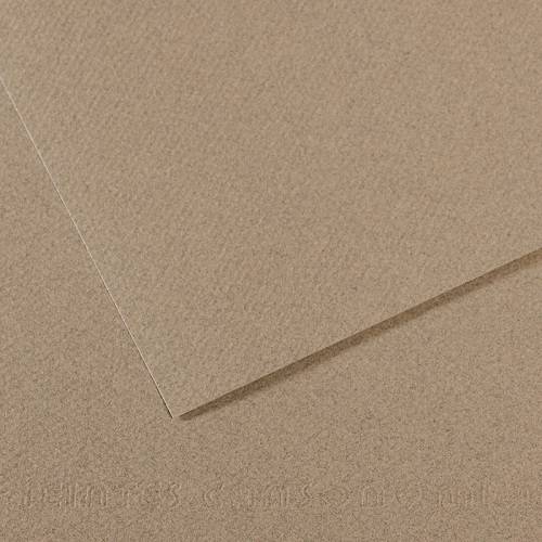 Бумага для пастели CANSON "Mi-Teintes" 50x65 см, 160 г, №429 Серый фетр Бумага для пастели CANSON "Mi-Teintes" 50x65 см, 160 г, №429 Серый фетр