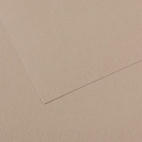 Бумага для пастели CANSON "Mi-Teintes" 50x65 см, 160 г, №122 Серая фланель Бумага для пастели CANSON "Mi-Teintes" 50x65 см, 160 г, №122 Серая фланель