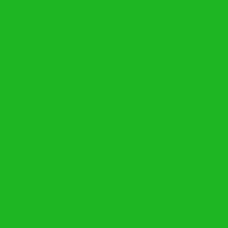 Карандаш акварельный WATERCOLOUR, шестигр.корп.6,9мм,гриф.-3,4мм,цв.-42 зеленый можжевеловый "Derwen