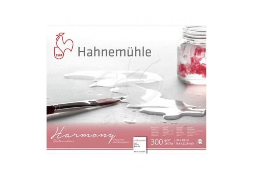 Бумага для акварели Hahnemuhle "Expression" 50х65 см 300 г 100% хлопок среднее зерно Бумага для акварели Hahnemuhle "Expression" 50х65 см 300 г 100% хлопок среднее зерно