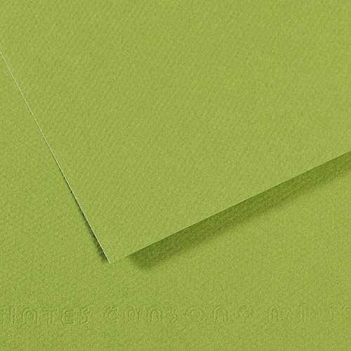 Бумага для пастели CANSON "Mi-Teintes" 50x65 см, 160 г, №475 Зеленое яблоко 