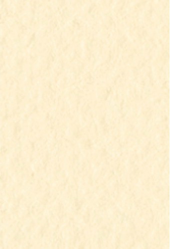 Бумага для пастели Tiziano А4 160г. Банановая