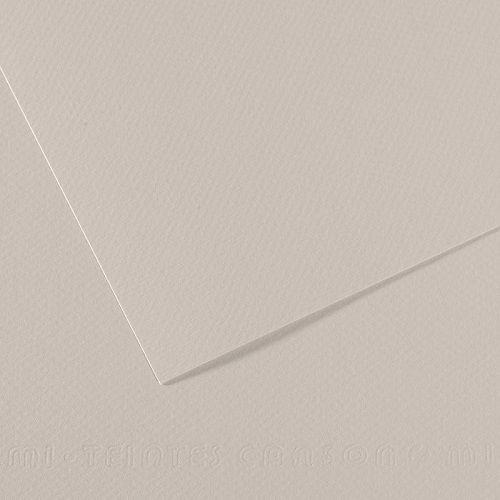 Бумага для пастели CANSON "Mi-Teintes" 21x29,7 см, 160 г, №120 Серый жемчужный Бумага для пастели CANSON "Mi-Teintes" 21x29,7 см, 160 г, №120 Серый жемчужный