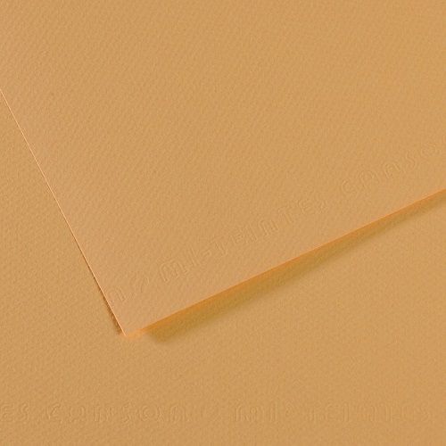 Бумага для пастели CANSON "Mi-Teintes" 21x29,7 см, 160 г, №340 Бежевый светлый Бумага для пастели CANSON "Mi-Teintes" 21x29,7 см, 160 г, №340 Бежевый светлый