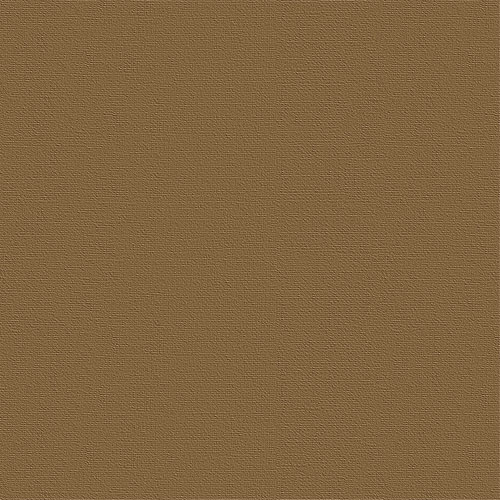 Бумага для пастели "Палаццо" тисн."Холст" 21х29,7см "Cinnamon" ( корица ) хл.40% 160г Бумага для пастели "Палаццо" тисн."Холст" 21х29,7см "Cinnamon" ( корица ) хл.40% 160г