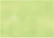 Карандаш пастельный Pastel Pencils, круглый корпус 8 мм, грифель - 4 мм, цвет - P470 зеленый свежий Карандаш пастельный Pastel Pencils, круглый корпус 8 мм, грифель - 4 мм, цвет - P470 зеленый свежий