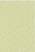 Бумага для пастели Tiziano А4 160г. Салатовый теплый