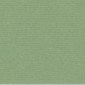 Бумага для пастели LANA 70х100см 160г. Зеленый сок