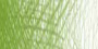 Карандаш профессиональный цветной Artist "Derwent", цвет - 4200 зеленый можжевеловый