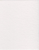 Картон грунтованный 20 х 40 "Пирози"